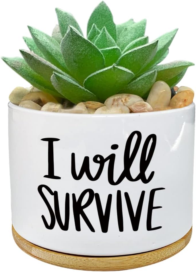 Aloe Vera Pot - Я выжить керамический горшок для суккулентов