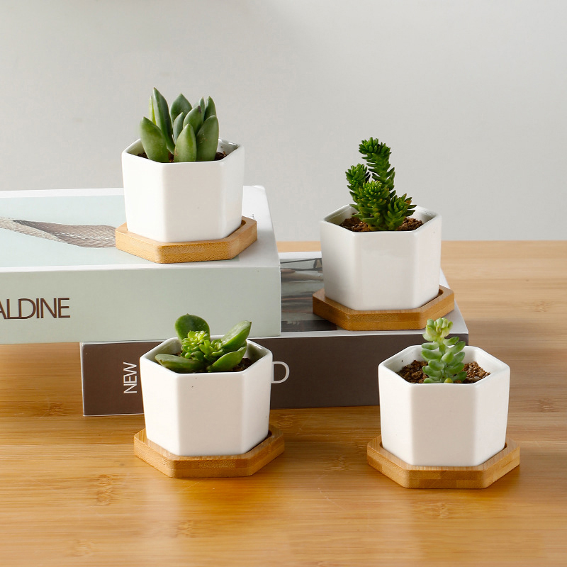Aloe Vera Pot - Керамический цветочный горшок, белый шестиугольный керамический