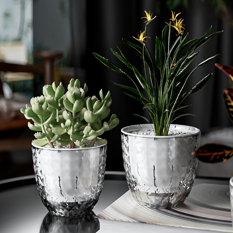 Прозрачный пластиковый ленивый – обзор и цена Aloe Vera Pot