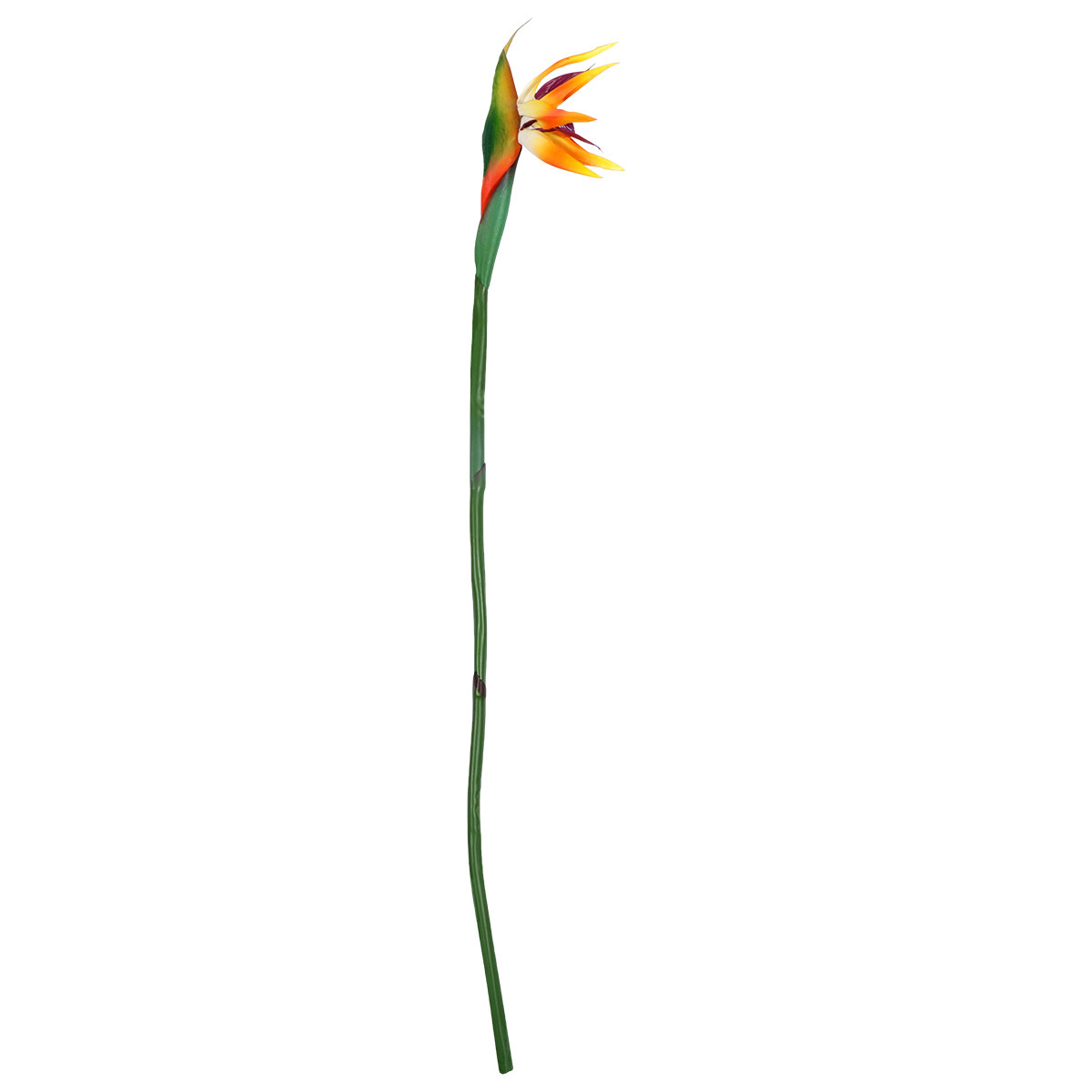 Искусственный цветок райской п – обзор и цена Bird Paradise Strelitzia