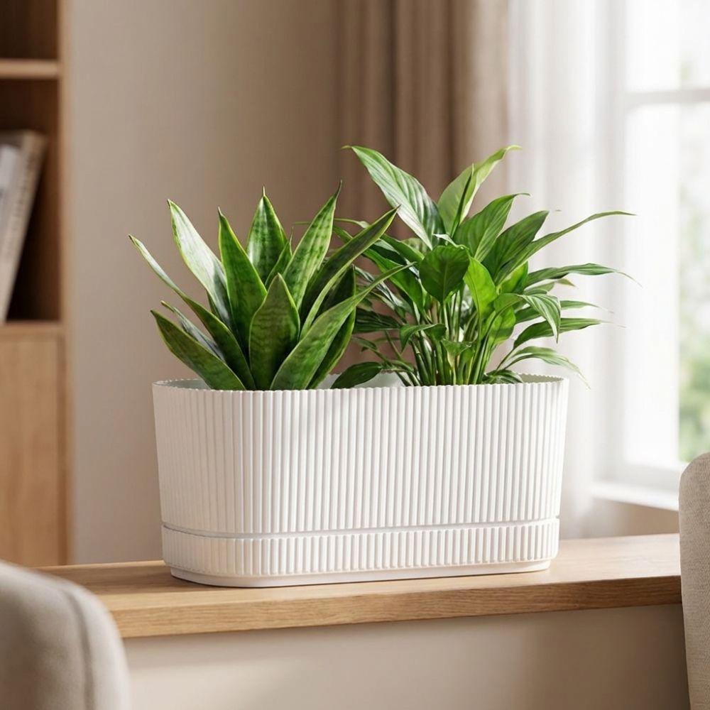 Пластиковый самополивающийся ц – обзор и цена Aloe Vera Pot