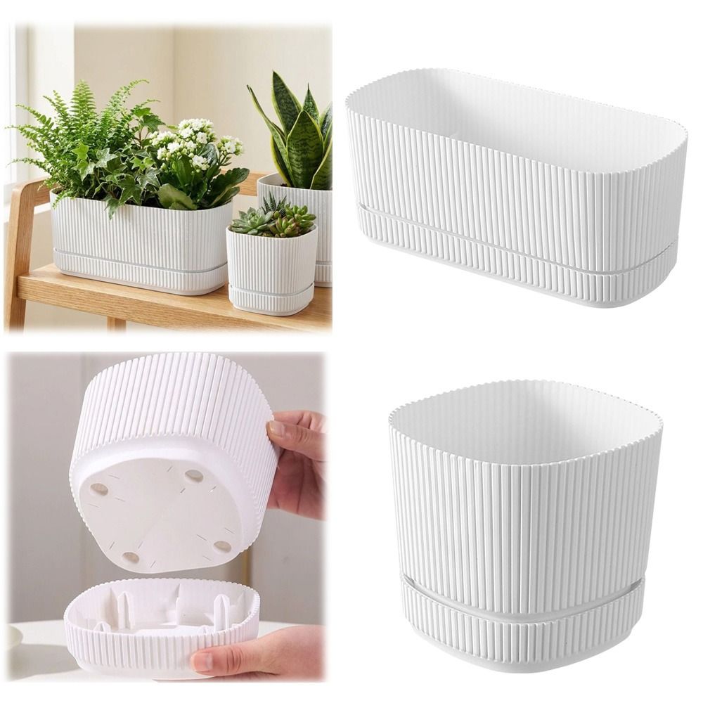 Пластиковый самополивающийся ц – обзор и цена Aloe Vera Pot