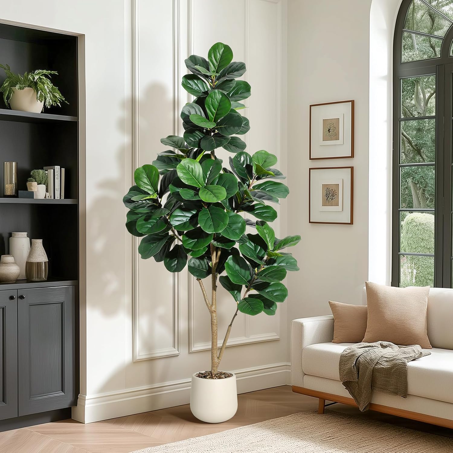 4-7 футов Fiddle Leaf Fig Tree – обзор и цена Dracaena Marginata