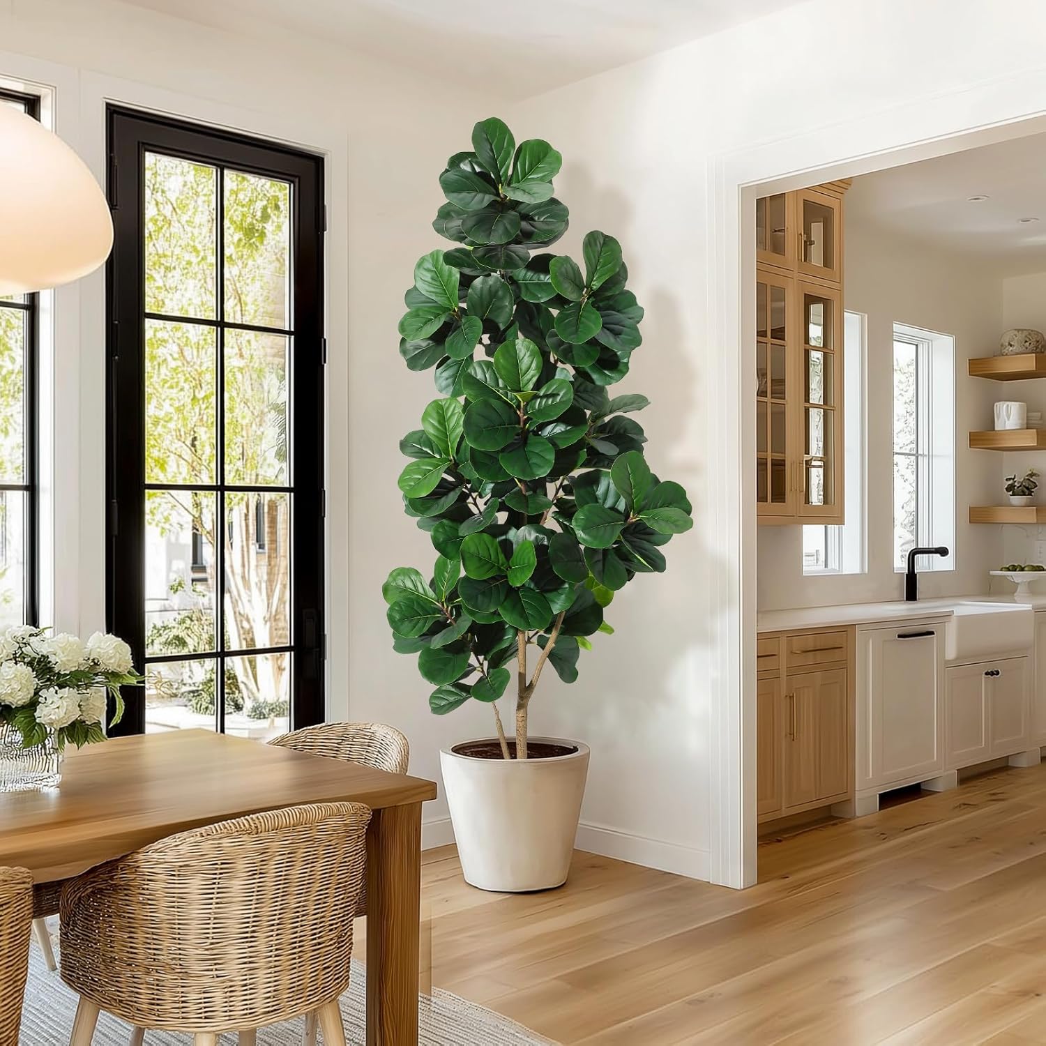 4-7 футов Fiddle Leaf Fig Tree – обзор и цена Dracaena Marginata