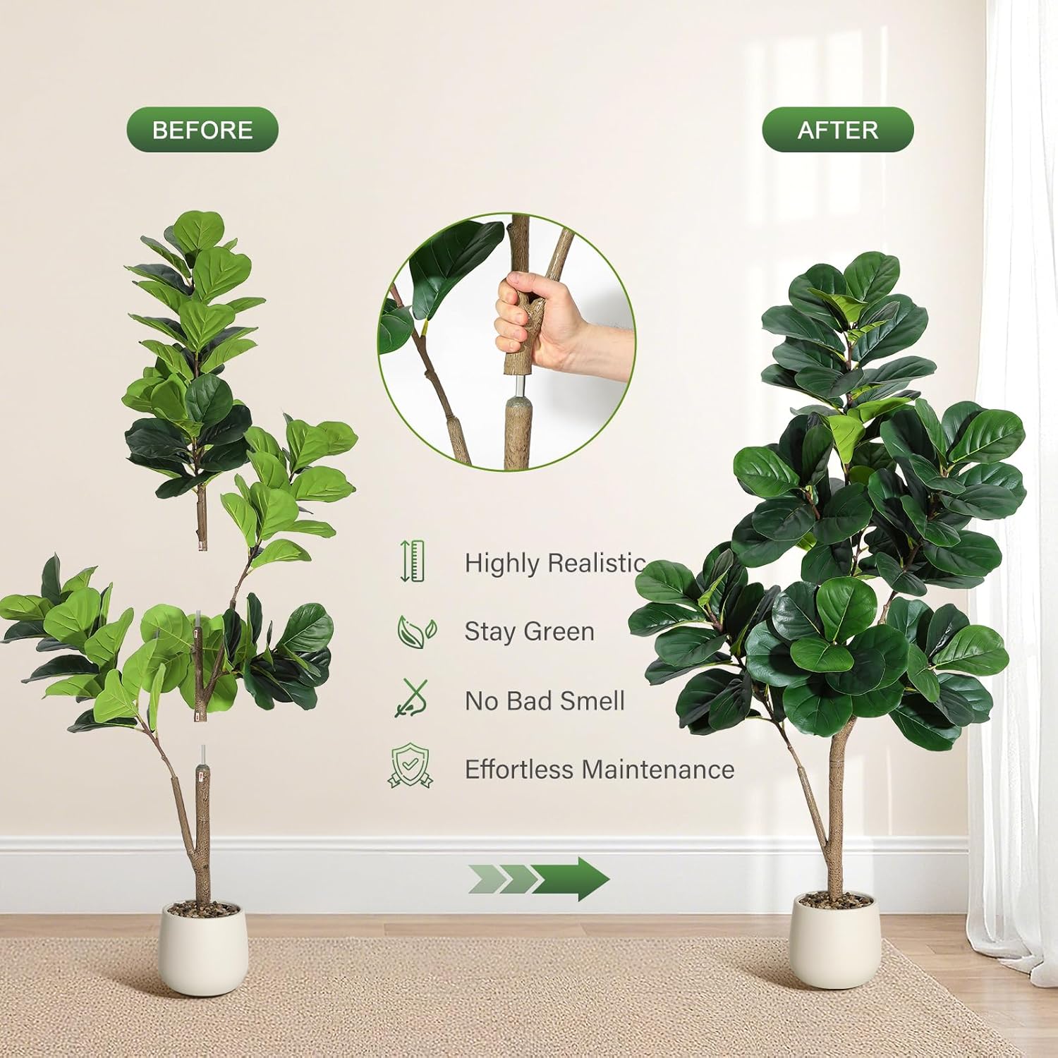 4-7 футов Fiddle Leaf Fig Tree – обзор и цена Dracaena Marginata