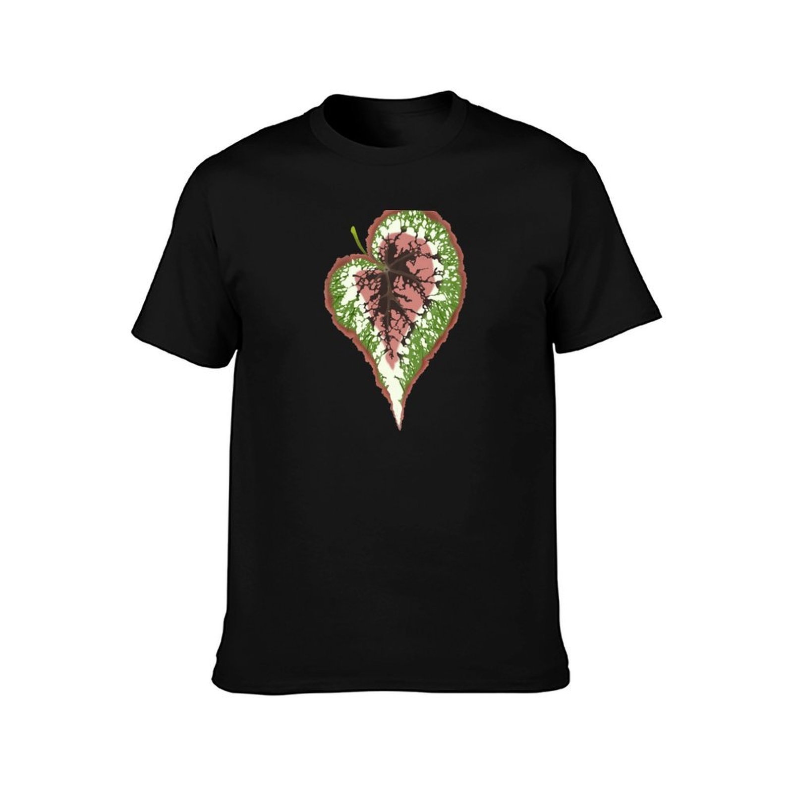 Футболка Begonia Rex, летняя п – обзор и цена Begonia Rex
