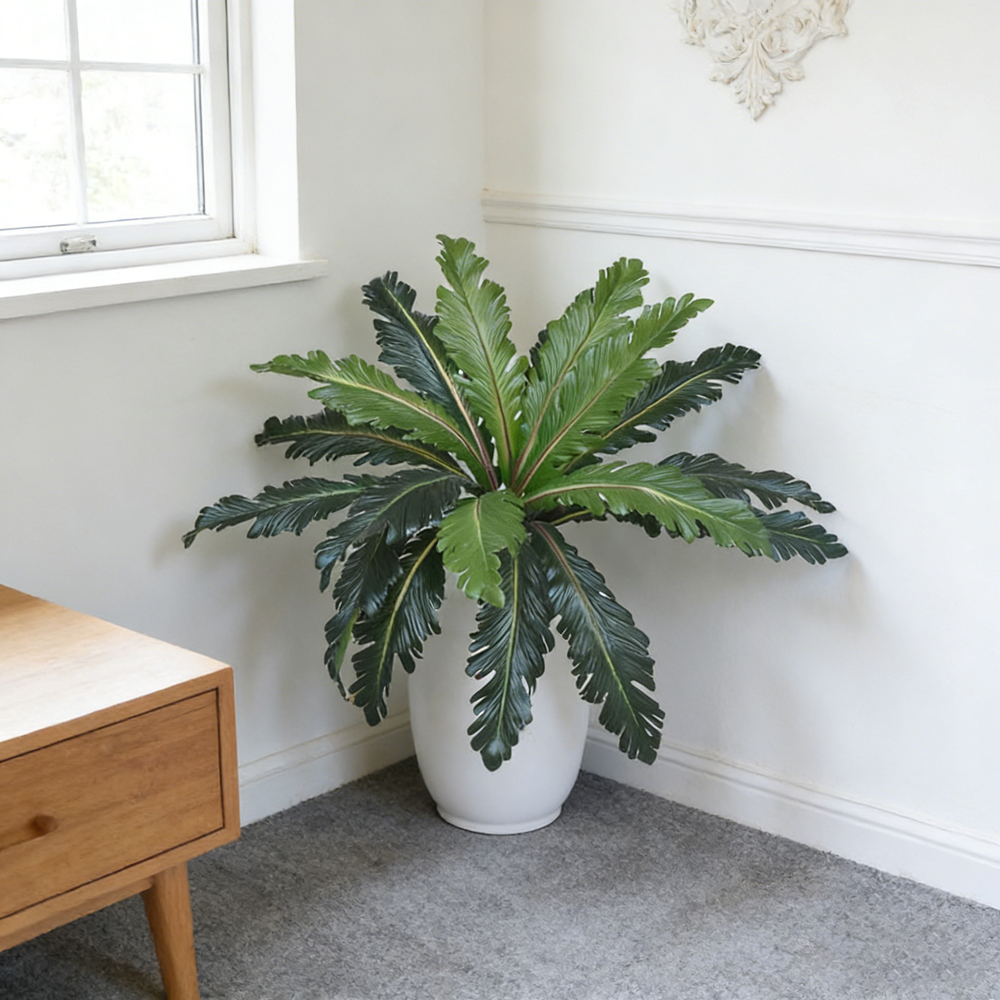 Искусственные тропические лист – обзор и цена Dracaena Marginata