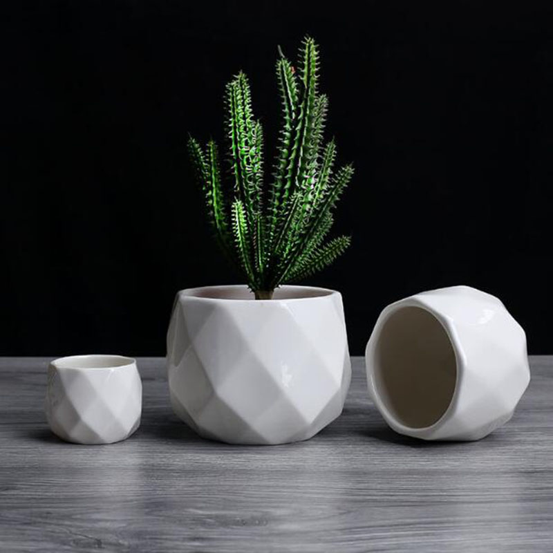 Европейский простой стиль, бел – обзор и цена Aloe Vera Pot