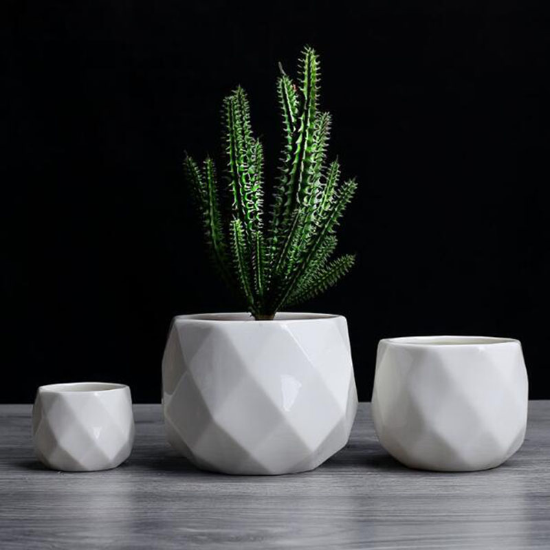 Европейский простой стиль, бел – обзор и цена Aloe Vera Pot