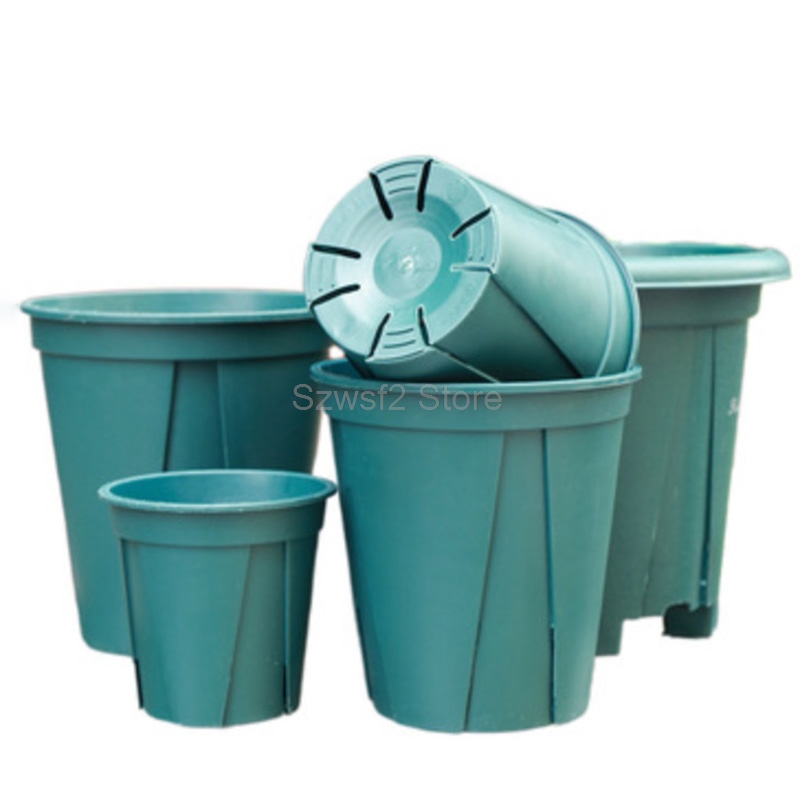 5/10 шт. зеленые пластиковые п – обзор и цена Aloe Vera Pot
