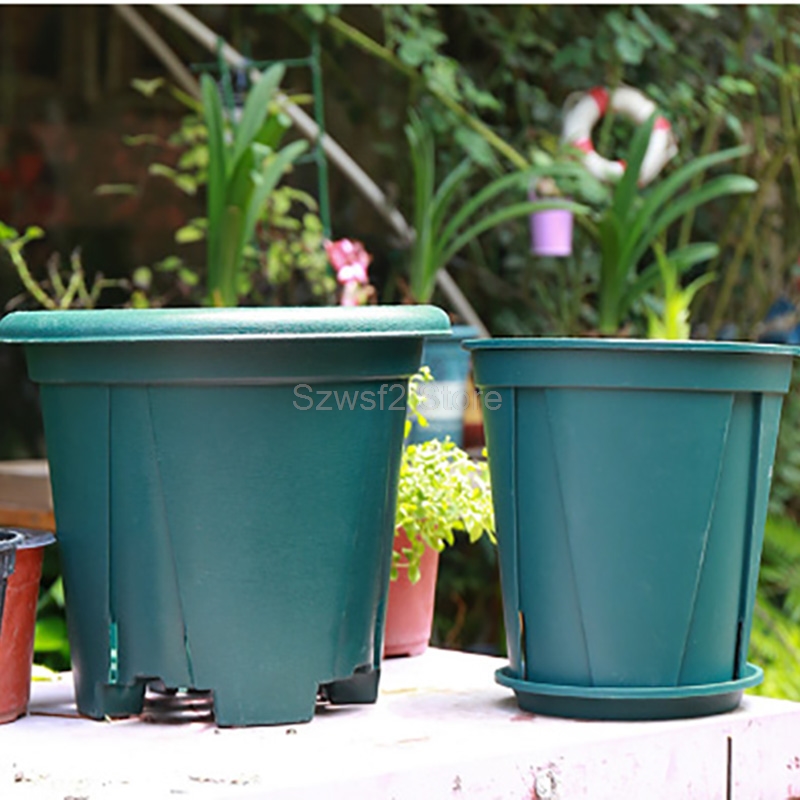 5/10 шт. зеленые пластиковые п – обзор и цена Aloe Vera Pot